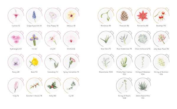 Draw in 10 Minutes: Botanicals: Learn how to draw in 50 quick sketches