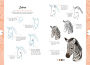 Alternative view 11 of 10 Step Drawing: Cute Animals: 'Draw over 50 adorable animals in 10 easy steps