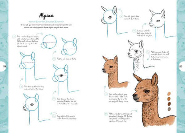 10 Step Drawing: Cute Animals: 'Draw over 50 adorable animals in 10 easy steps