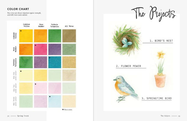 3-Color Watercolor: 30 easy projects to try using just 3 colors at a time!