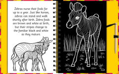Alternative view 2 of Scratch and Draw Animals