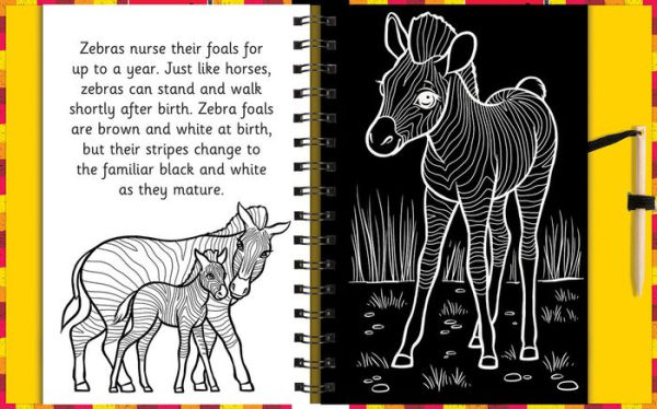 Scratch and Draw Animals