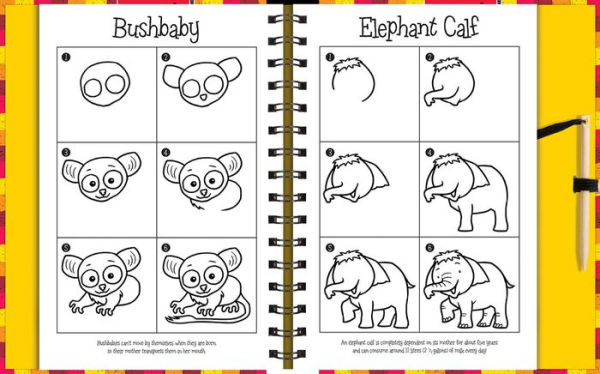 Scratch and Draw Animals