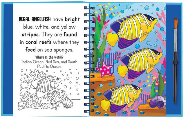 Splish and Splash - Under the Sea