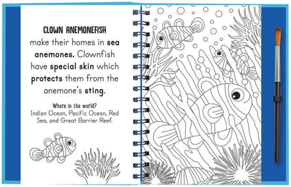 Splish and Splash - Under the Sea