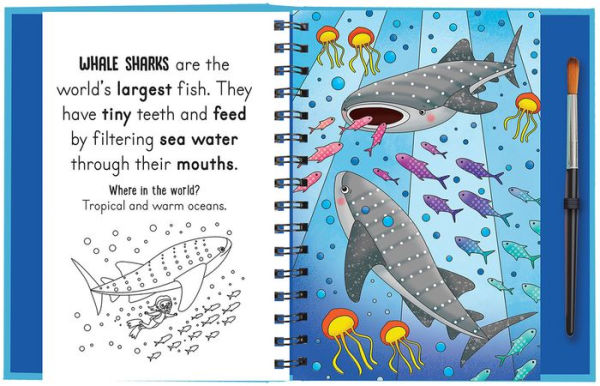 Splish and Splash - Under the Sea