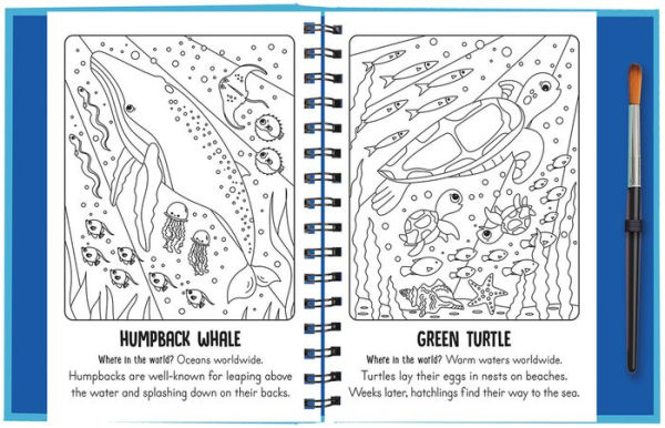 Splish and Splash - Under the Sea