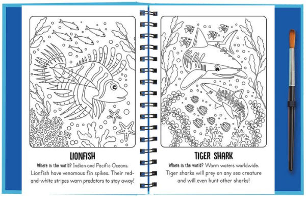 Splish and Splash - Under the Sea