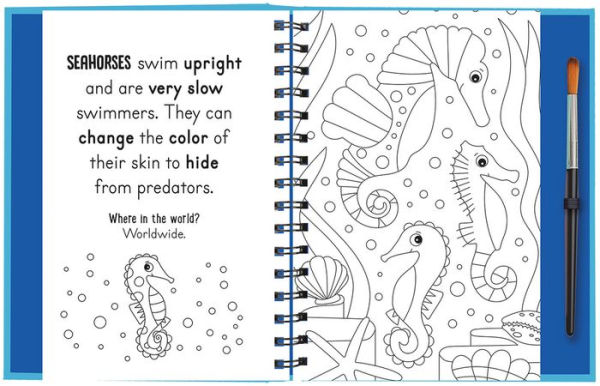 Splish and Splash - Under the Sea
