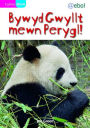 Cyfres Bling: Bywyd Gwyllt Mewn Perygl!