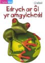 Cyfres Bling: Edrych ar ôL yr Amgylchedd