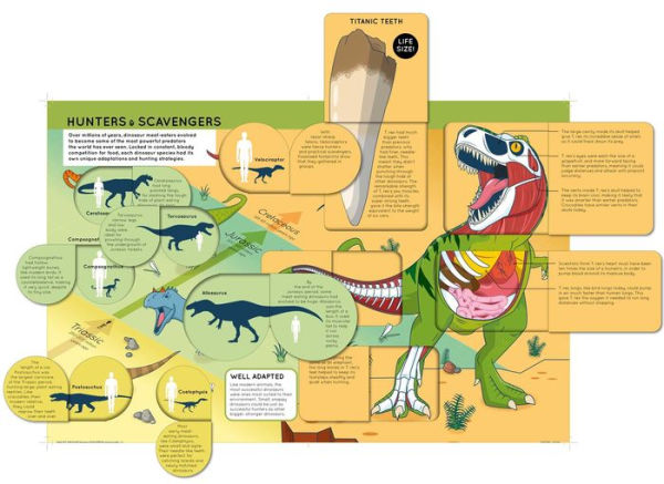 Lift the Flaps: Dinosaurs: Lift-the-Flap Book