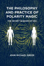 The Philosophy and Practice of Polarity Magic: A Secret Wisdom of Sex