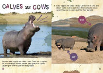 Alternative view 2 of The Gross Life Cycle of a Hippopotamus