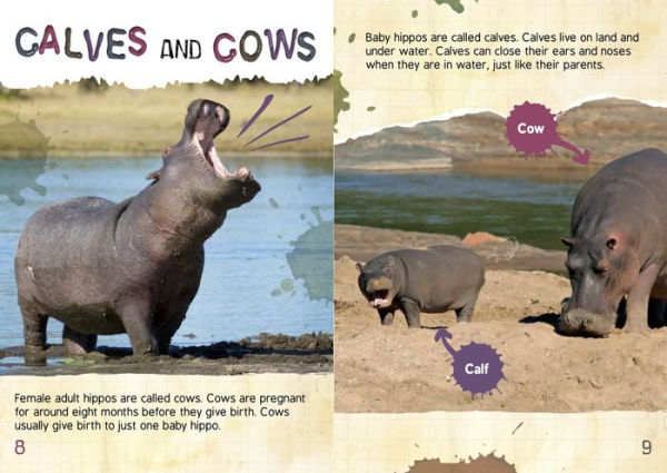 The Gross Life Cycle of a Hippopotamus