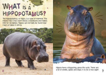 Alternative view 3 of The Gross Life Cycle of a Hippopotamus