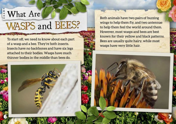 Wasps and Bees