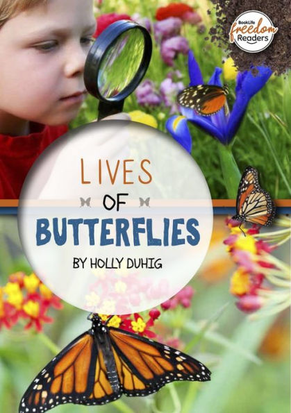 Lives of Butterflies