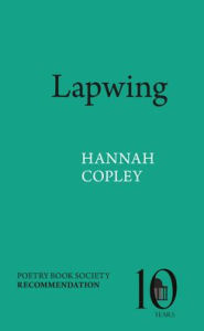 Free public domain audiobooks download Lapwing MOBI PDF by Hannah Copley (English literature) 9781802074758