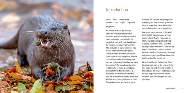 The Otter Book