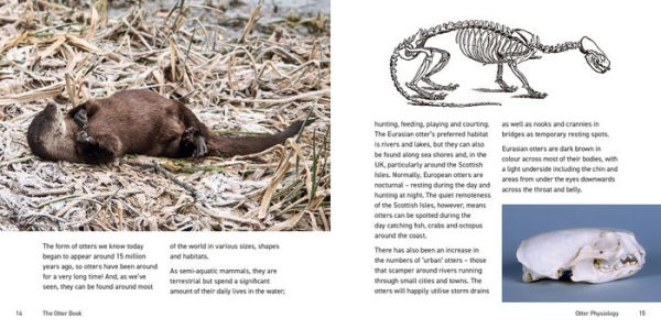 The Otter Book