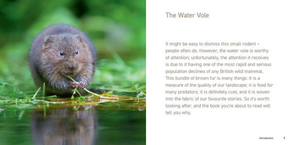 The Water Vole Book