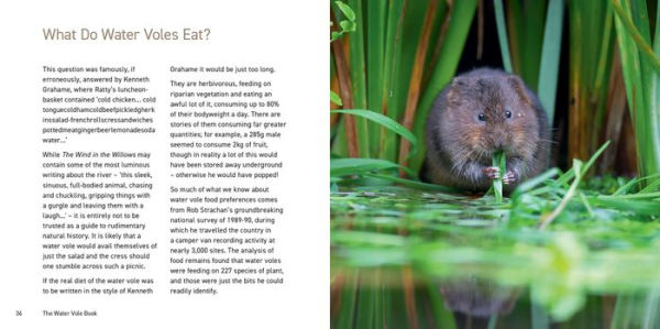 The Water Vole Book