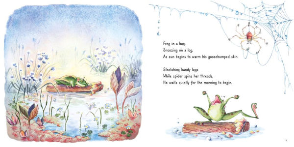 Frog's Bog