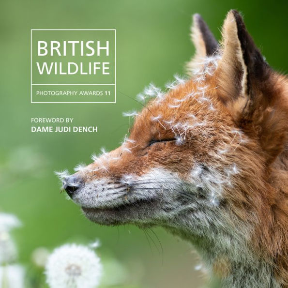 British Wildlife: Photography Awards 11