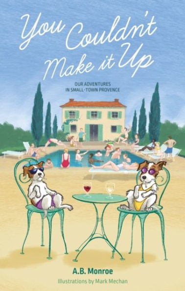 You Couldn't Make it Up: Our Adventures Small Town Provence