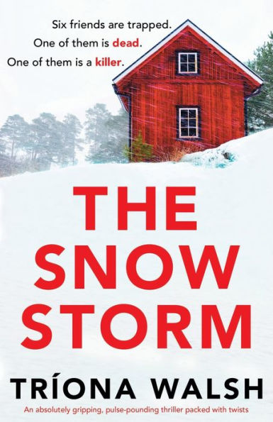 The Snowstorm: An absolutely gripping, pulse-pounding thriller packed with twists