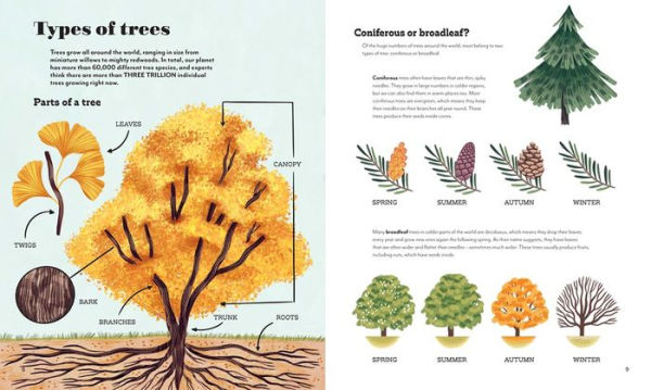 Around the World in 80 Trees