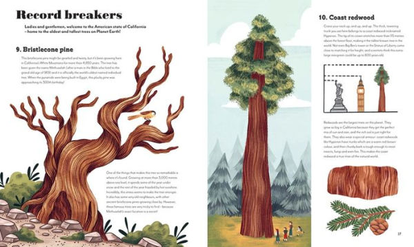 Around the World in 80 Trees