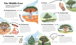 Alternative view 5 of Around the World in 80 Trees