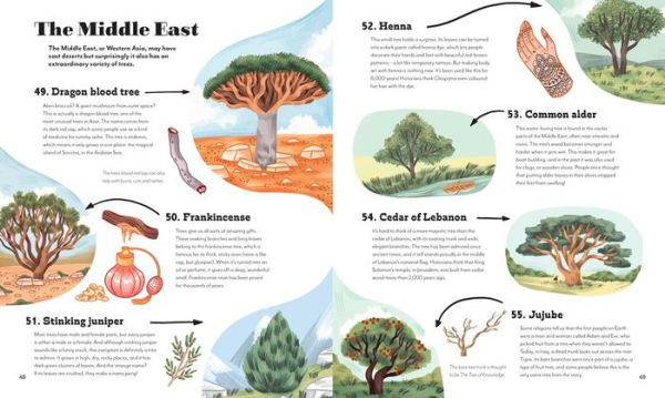 Around the World in 80 Trees