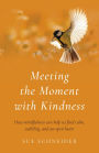 Meeting the Moment with Kindness: How Mindfulness Can Help Us Find Calm, Stability, and an Open Heart