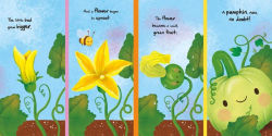 Alternative view 2 of Nature Stories: Little Pumpkin-Discover an Amazing Story from the Natural World: Padded Board Book