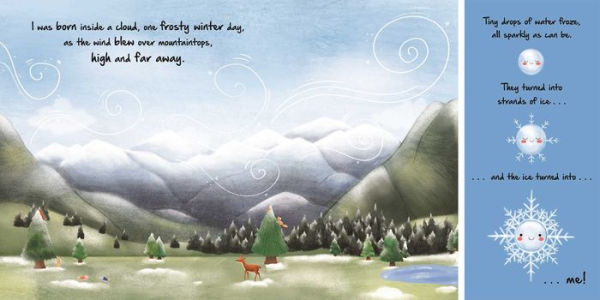 Nature Stories: Little Snowflake: Discover an Amazing Story from the Natural World-Padded Board Book