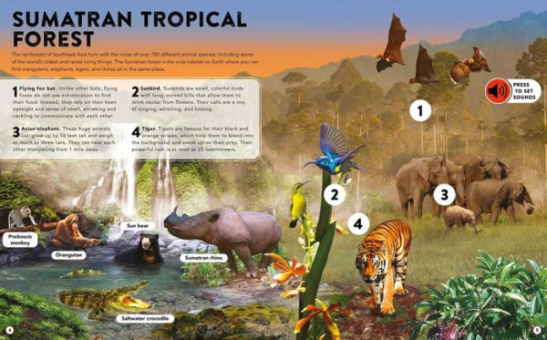 The Animal Kingdom: with 50 Incredible Sounds!