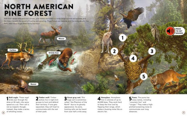 The Animal Kingdom: with 50 Incredible Sounds!