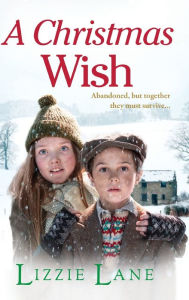 Title: A Christmas Wish, Author: Lizzie Lane