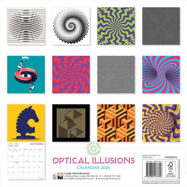 Optical Illusions Wall Calendar 2024 (Art Calendar) by Flame Tree