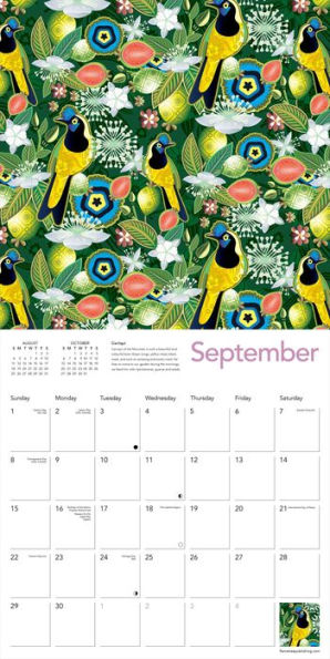 Catalina Estrada Wall Calendar 2024 (Art Calendar)