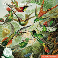 Title: Adult Sustainable Jigsaw Puzzle V&A: Hummingbirds: 1000-pieces. Ethical, Sustainable, Earth-friendly, Author: Flame Tree Studio