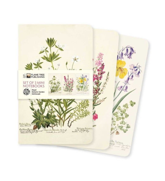 Royal Botanic Garden Edinburgh Set of 3 Mini Notebooks
