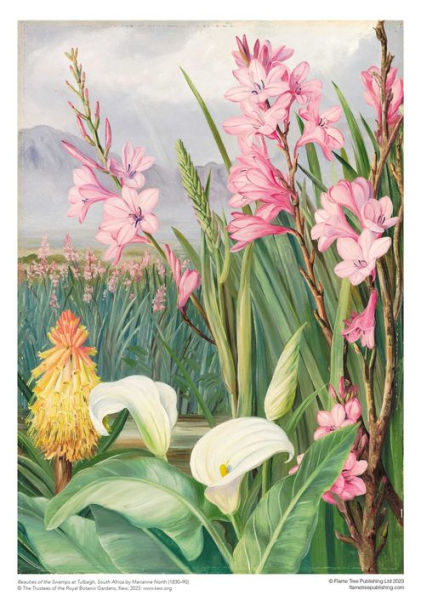 Adult Sustainable Jigsaw Puzzle Kew Gardens: Marianne North: Beauties of the Swamps at Tulbagh: 1000-pieces. Ethical, Sustainable, Earth-friendly