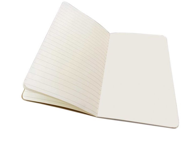 Frida Kahlo Set of 3 Standard Notebooks