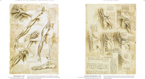 Leonardo da Vinci Drawings Masterpieces of Art