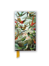 Title: Ernst Haeckel: Hummingbirds (Foiled Slimline Journal), Author: Flame Tree Studio