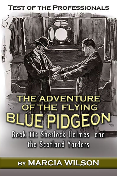 Test of the Professionals: Adventure Flying Blue Pidgeon